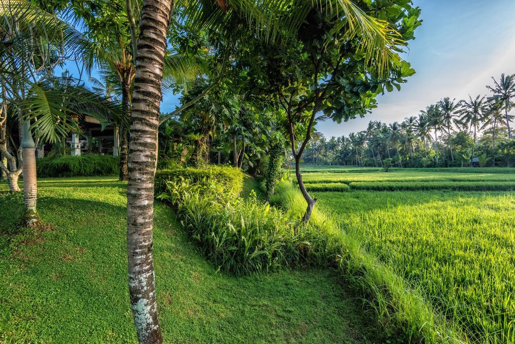 Villa Sabandari Ubud  Ngoại thất bức ảnh