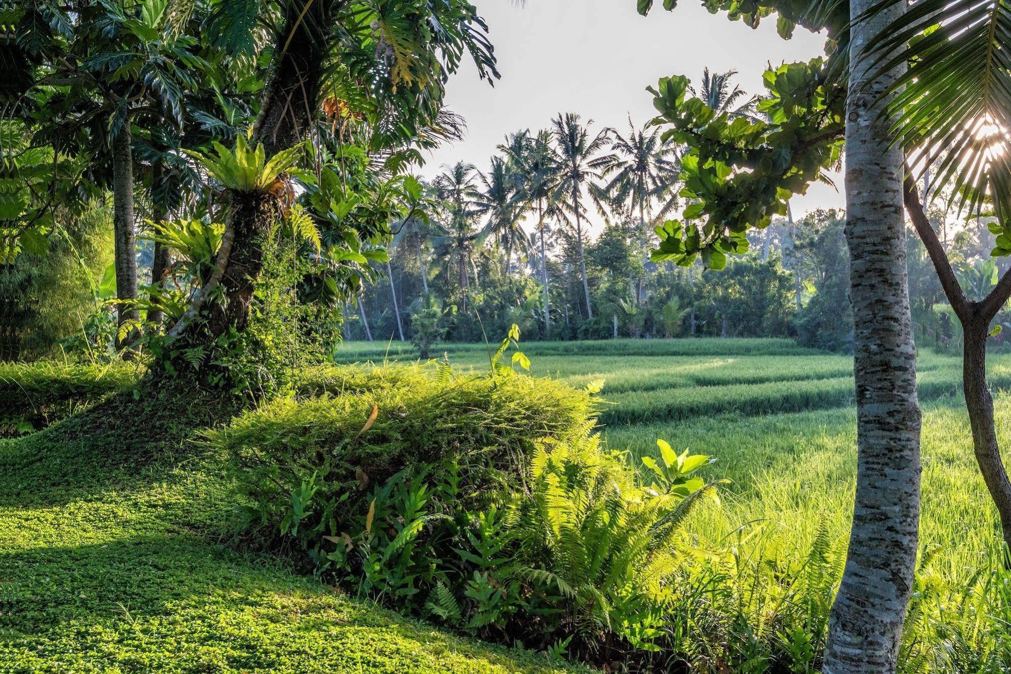 Villa Sabandari Ubud  Ngoại thất bức ảnh